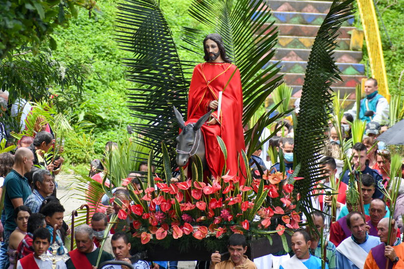 Domingo de Ramos: você conhece a importância desta celebração?