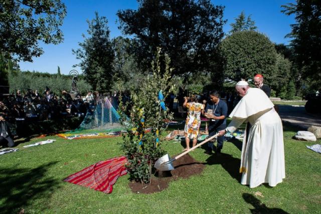 <strong>Dia mundial do meio ambiente: Dicas do Papa Francisco para o cuidado com a Criação</strong>