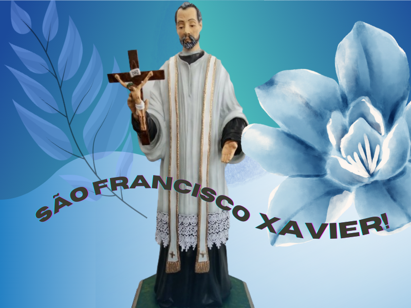 São Francisco Xavier: Conheça melhor o padroeiro da nossa Diocese