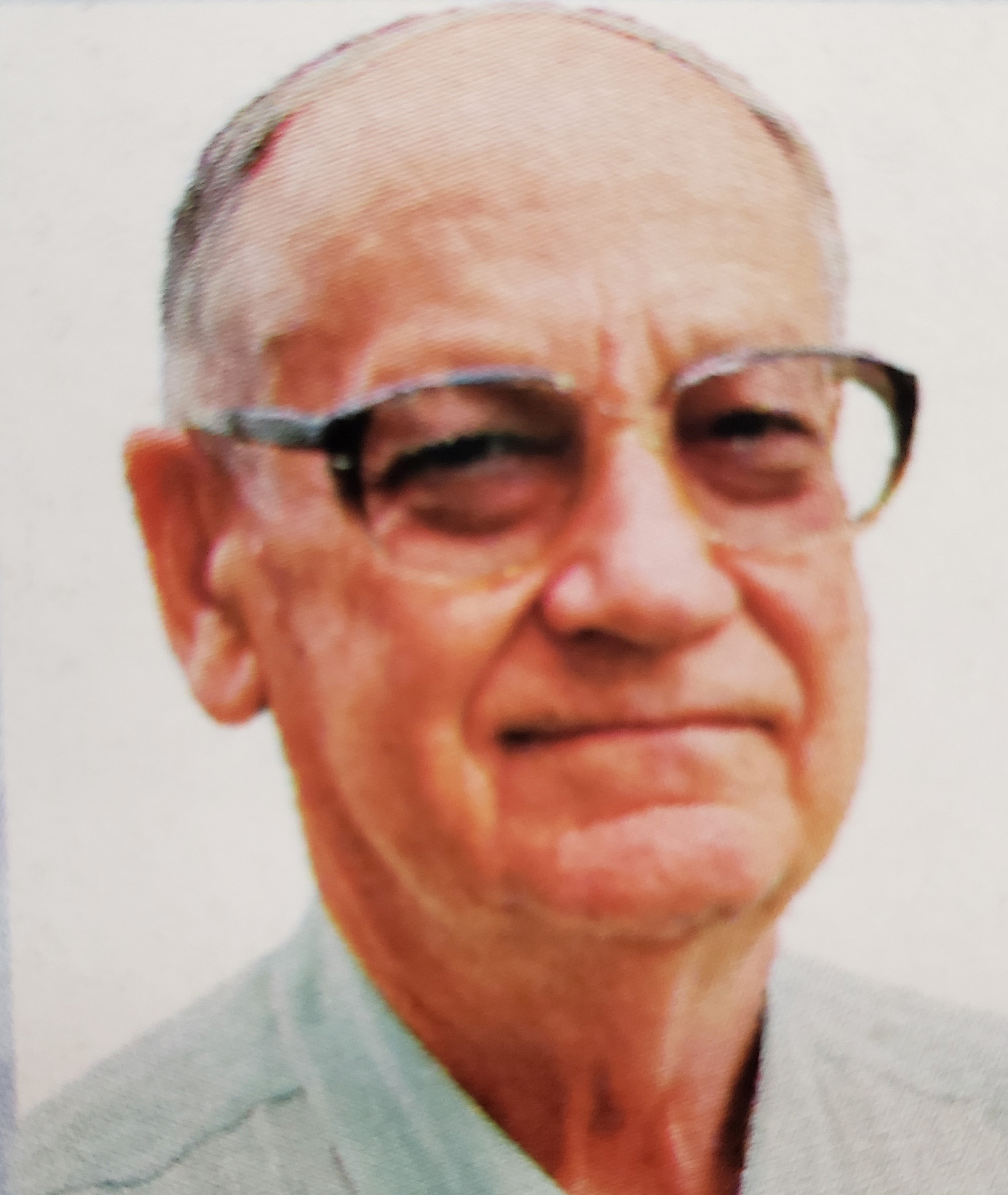 P Alvino Bortolini