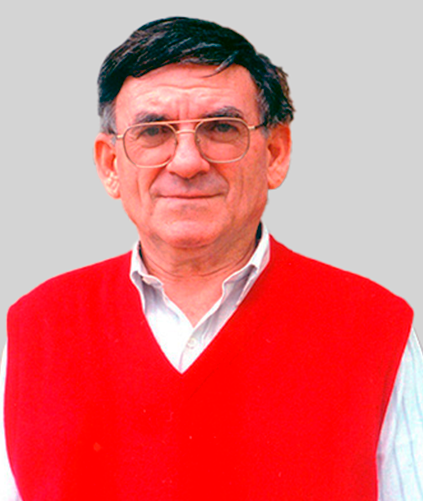 P Dante Domenico Cemin